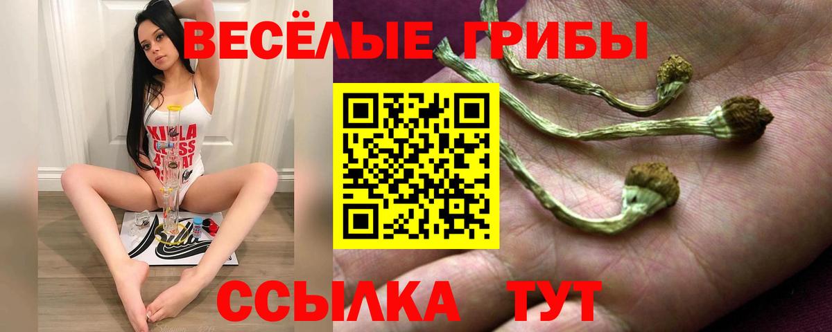 Галлюциногенные грибы Psilocybe Нижневартовск
